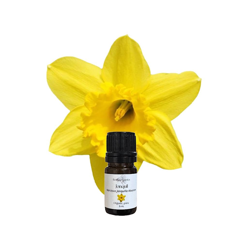 Jonquil Absolute, Organic, 100% Pure, Natural