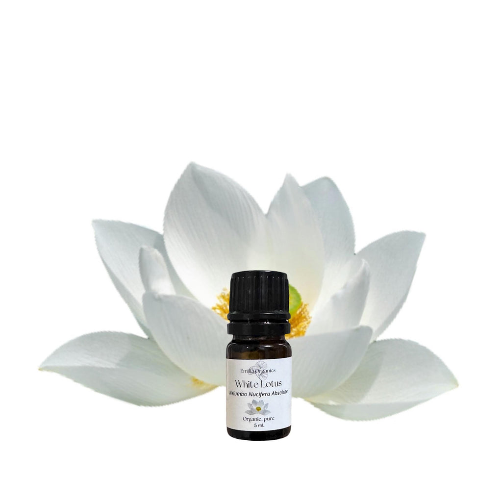 White Lotus Absolute Oil, Organic, 100% Pure, Natural