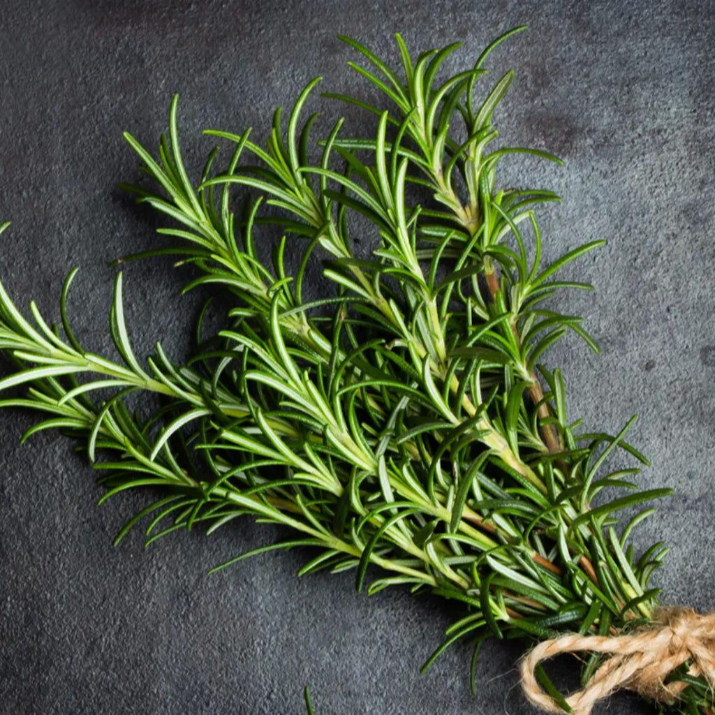 Rosemary Essential Oil, Organic, 100% Pure, Natural
