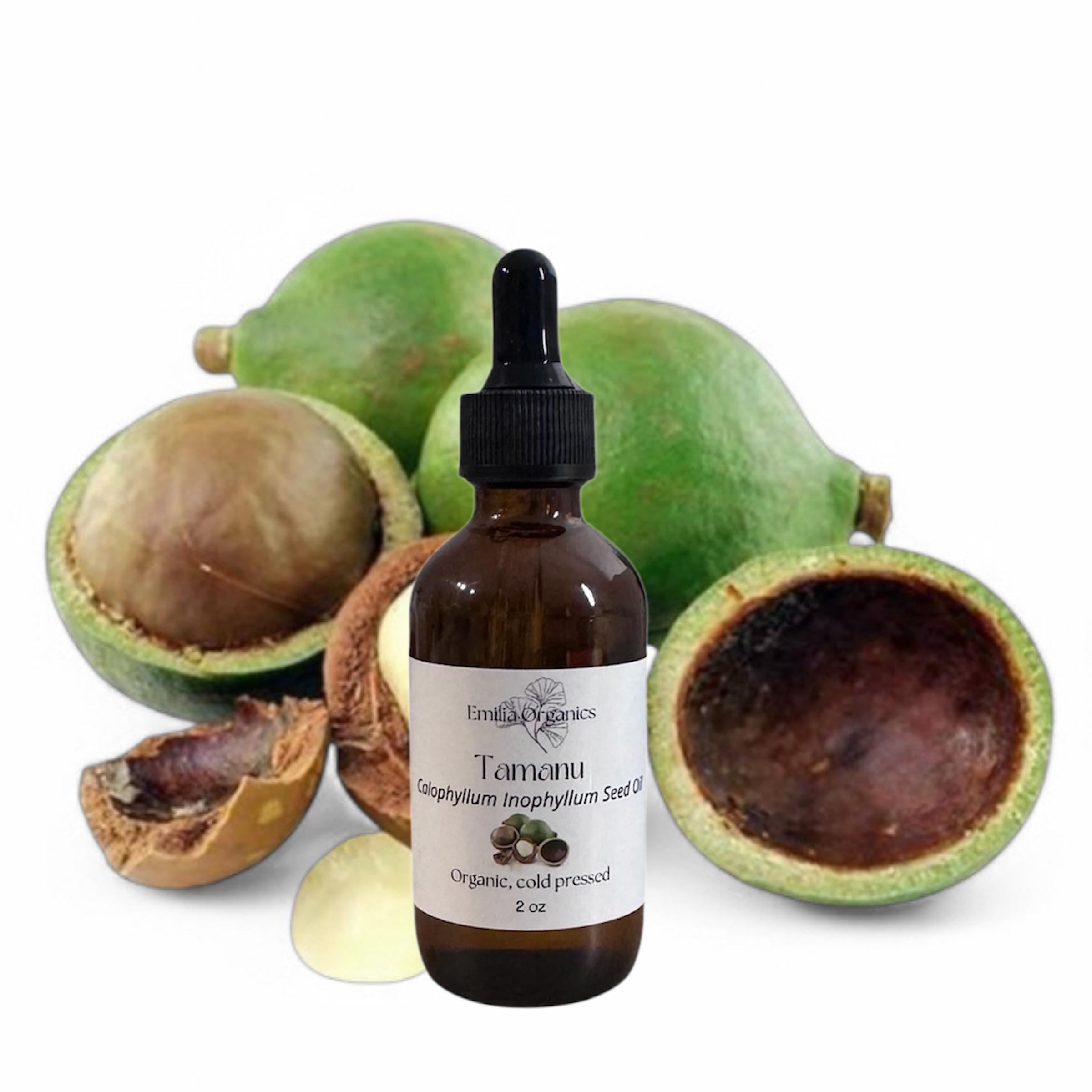 Tamanu Seed Oil, Organic, Cold Pressed, Unrefined, Natural