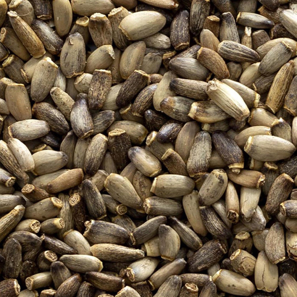 Milk Thistle Seed Oil, Organic, Cold Pressed, Unrefined, Natural