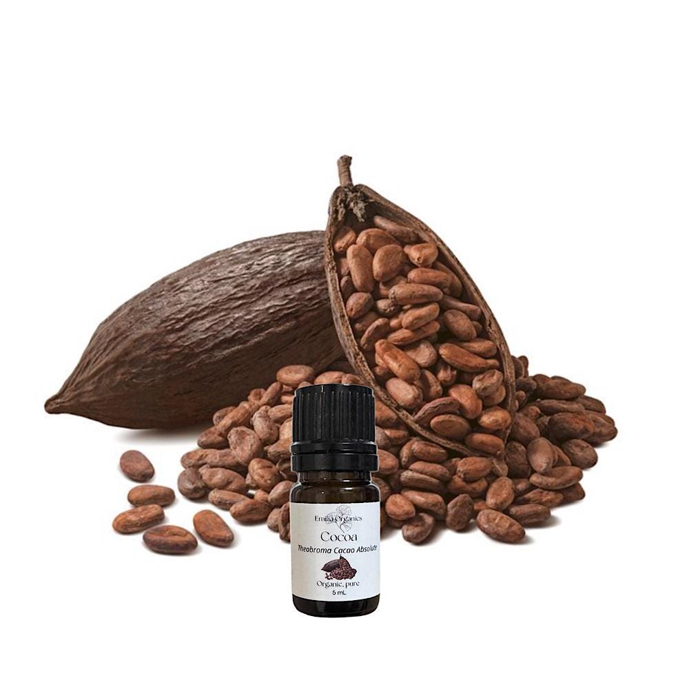 Cocoa Absolute Oil, Cacao Absolute, Organic, 100% Pure, Natural
