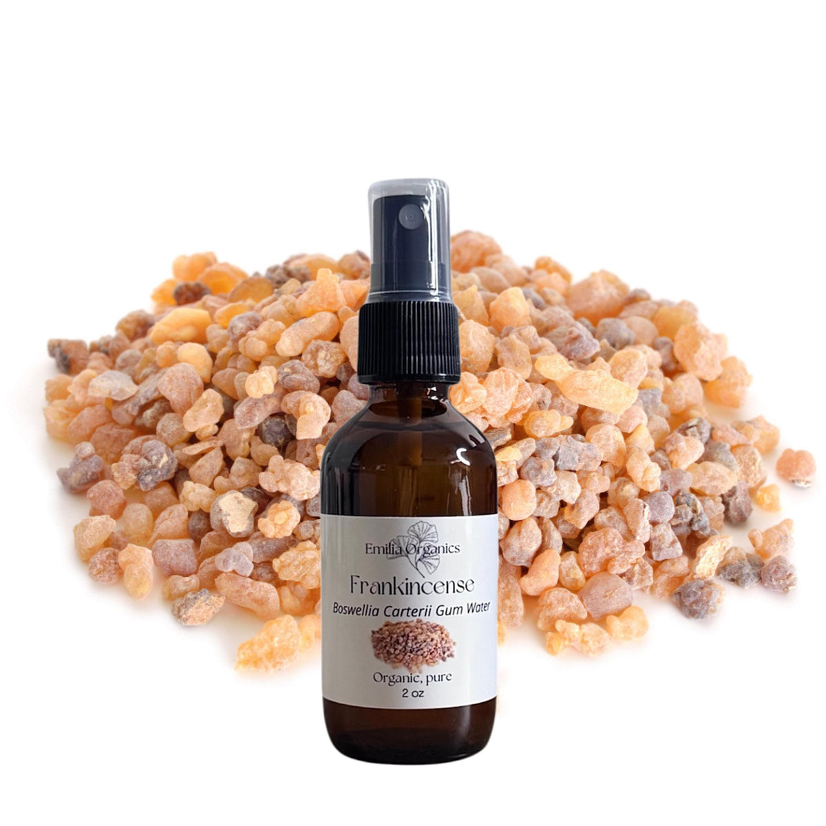 Frankincense Hydrosol, Organic, Pure, Natural