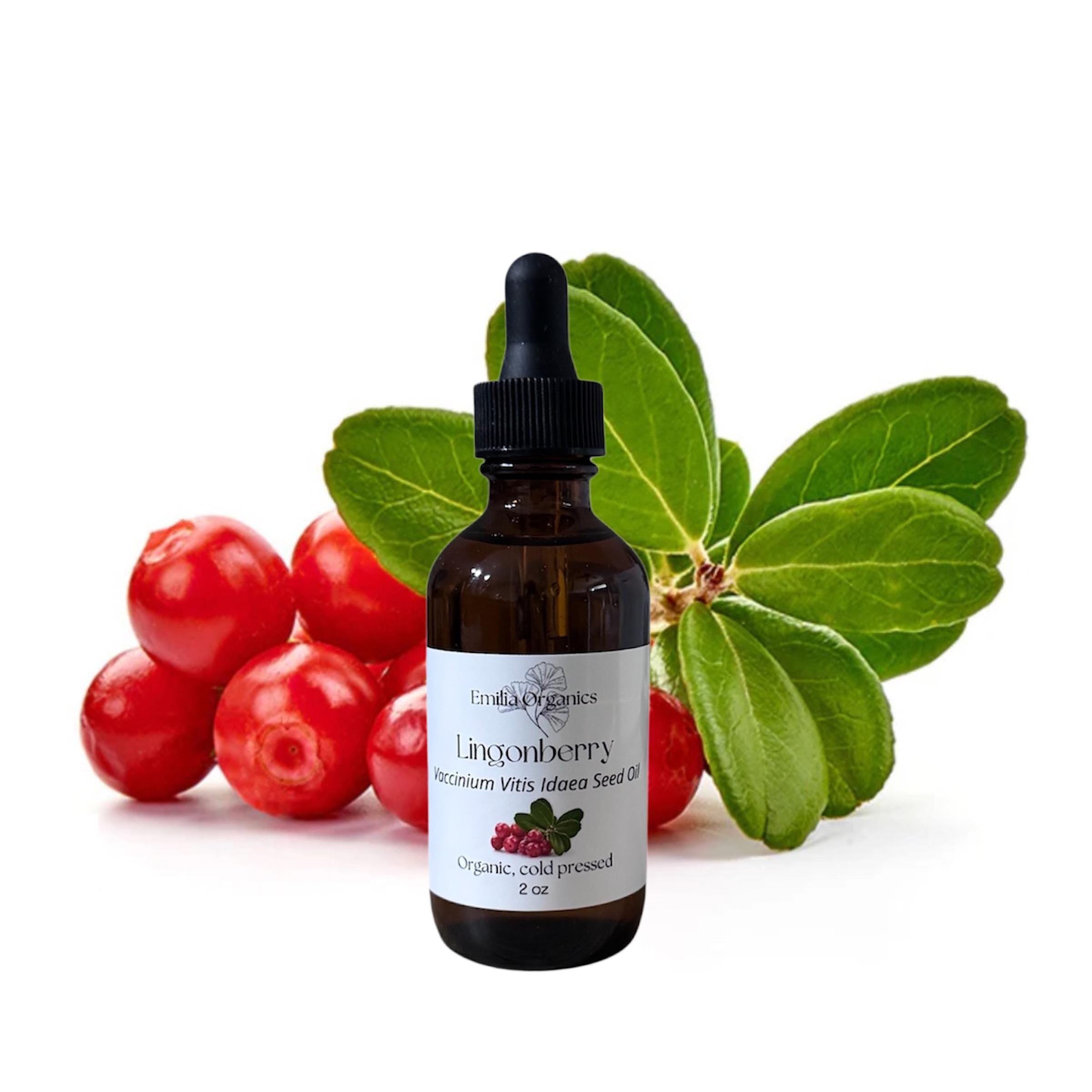 Lingonberry Seed Oil, Organic, Cold Pressed, Unrefined, Natural