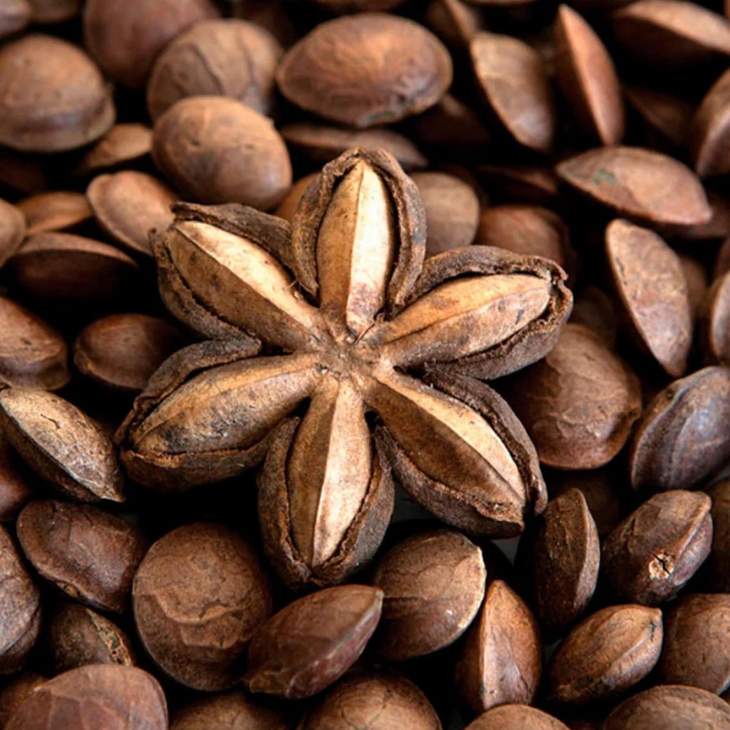 Sacha Inchi Seed Oil, Organic, Cold Pressed, Unrefined, Natural