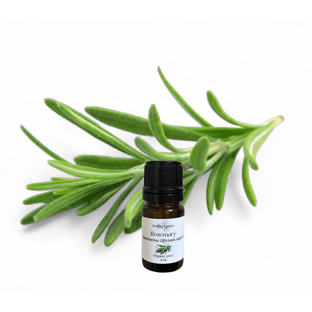 Rosemary Essential Oil, Organic, 100% Pure, Natural