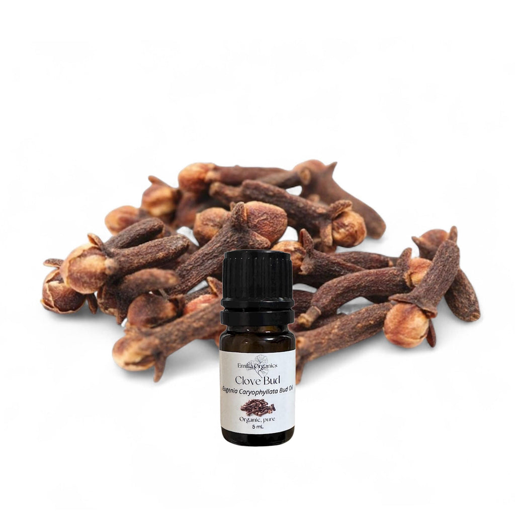 Clove Bud Essential Oil, Organic, 100% Pure, Natural