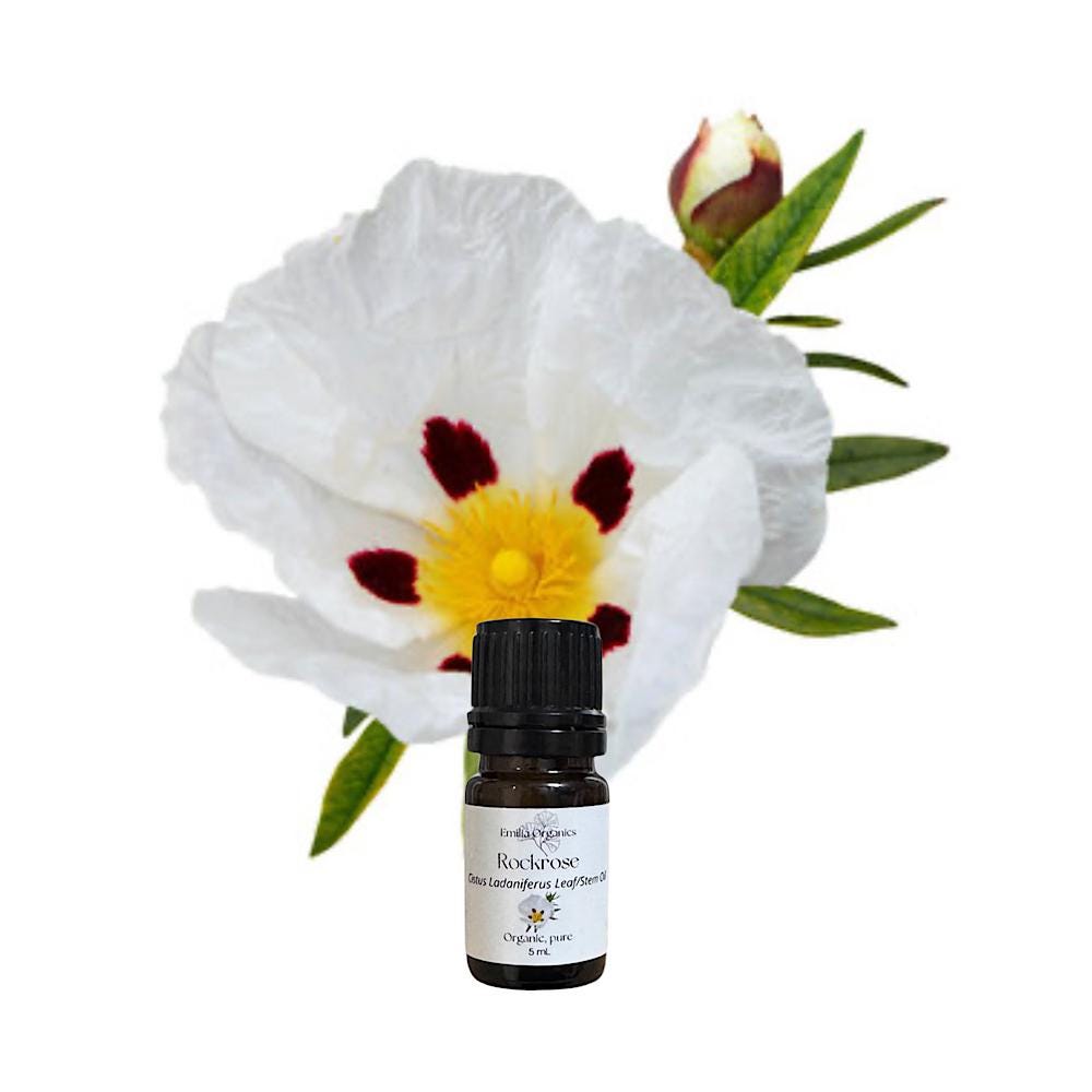 Rockrose Essential Oil, Organic, Pure, Natural