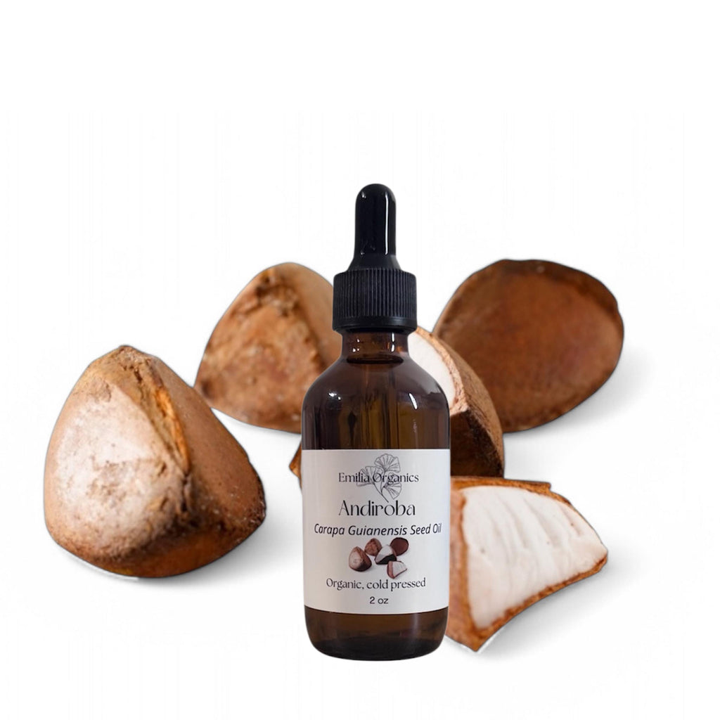 Andiroba Seed Oil, Organic, Cold Pressed, Unrefined, Natural
