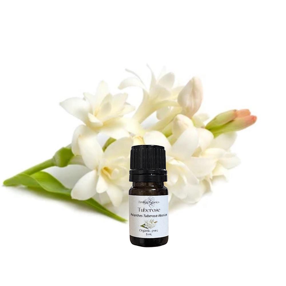 Tuberose Absolute, Organic, 100% Pure, Natural