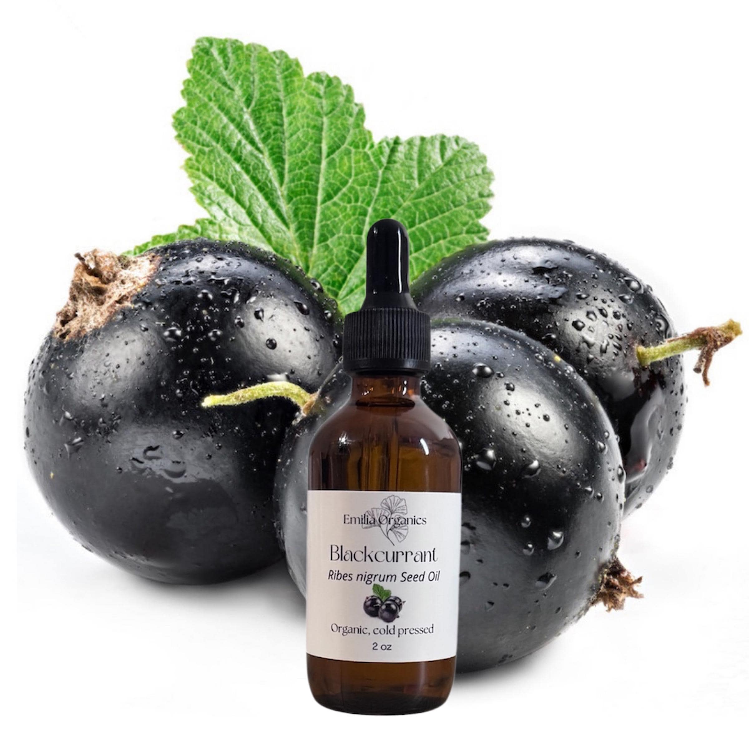 Blackcurrant Seed Oil, Organic, Cold Pressed, Unrefined, Natural