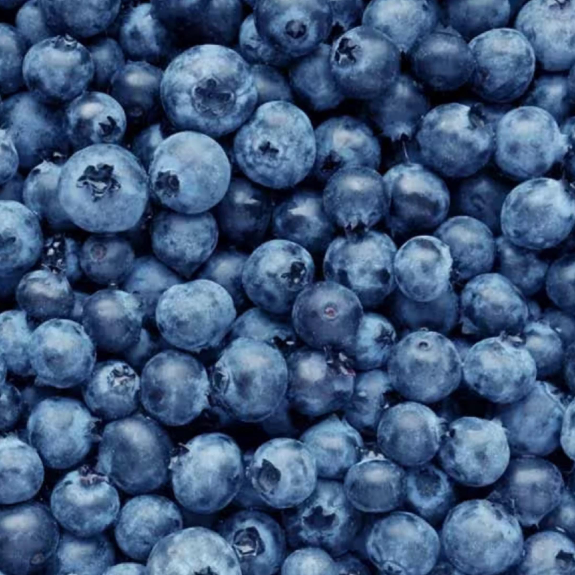 Blueberry Seed Oil, Organic, Cold Pressed, Unrefined, Natural
